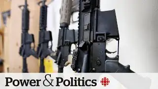 Gun control group calls federal buyback program a 'waste' of money | Power & Politics