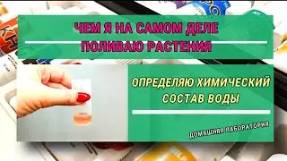 Анализ воды. Исследую пять образцов на химический состав в домашних условиях.