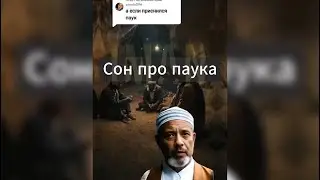 Сон про паука #ислам #сон #сны #паук #сныпокорану