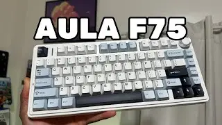 The Only Mechanical Gaming Keyboard You Need | Best Budget Stock 75 Percent? | Aula F75 