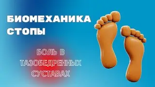 Биомеханика стопы. Боль в тазобедренных суставах