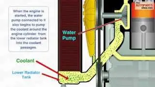 How Car Cooling System Works