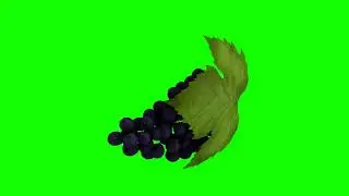 Grapes with leave --- Green Screen HD.