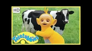 ★Teletubbies ★ Milking Cows ★ Classic full episode (S06E136)