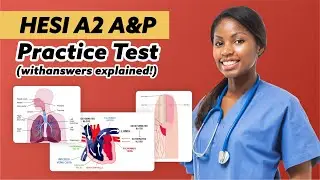 HESI A2 Anatomy and Physiology Practice Test (2023)