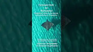 Узнавай про дешевые Мальдивы в канале @maldivesgpt