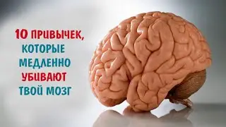 10 опасных привычек, которые наносят вред мозгу и уничтожают память!