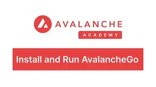 Install and Run AvalancheGo - Avalanche Academy