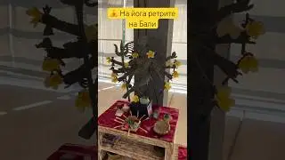 🧘‍♂️4 дня на йога ретрите на Бали