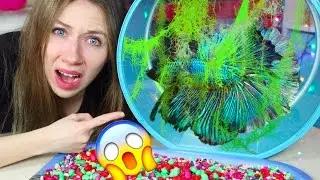 СПАСЕНИЕ РЫБКИ НЕМО КАТАСТРОФА В АКВАРИУМЕ - ПЕРЕЗАПУСТИЛА АКВАРИУМ | Elli Di Pets