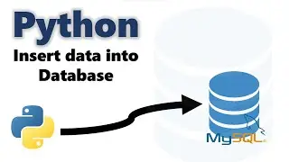 How to insert data into database in Python