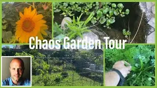 What is Chaos Gardening? - Chaos Garden Tour