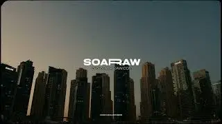 Vintage LUT - Soaraw