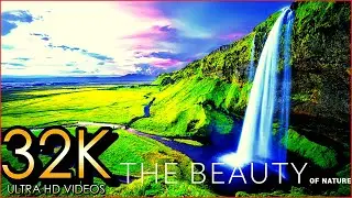 The Beauty of Nature 32K ULTRA HD - Tour Around The Forest | Relaxing Music - Russian River