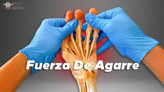 ¿La fuerza de agarre te ayuda a vivir más?