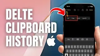 How to Delete Clipboard History iPhone (in 1-Minute)