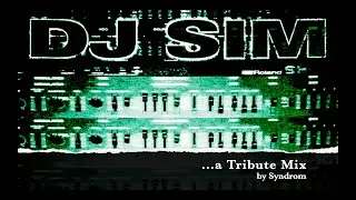 Dj Sim Tribute - An Early Hardcore Discography Megamix