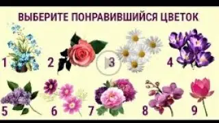 Выбери букет, который все про тебя расскажет