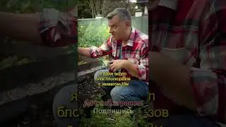 Огород БУДУЩЕГО без ТРАКТОРА Земля как хлеб Дачный агроном