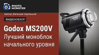 Godox MS200V. Лучший моноблок начального уровня.