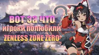 ИГРОКИ ОЦЕНИЛИ ВОТ ТАК ZENLESS ZONE ZERO