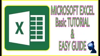 BASIC MICROSOFT EXCEL TUTORIAL easy guide!