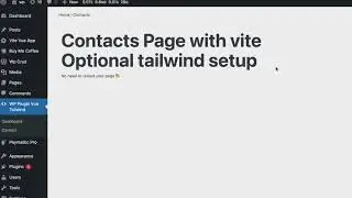 WordPress Plugin boilerplate with Vue, Tailwind setup (Vite build)