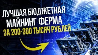 Лучшая бюджетная майнинг ферма за 200-300 тысяч рублей из нового оборудования. Что купить для фермы?