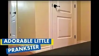 Little girl pulls off hidden camera prank on dad