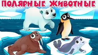 Полярные животные для детей. Животные Севера + Видео + Звуки. Умные мультики