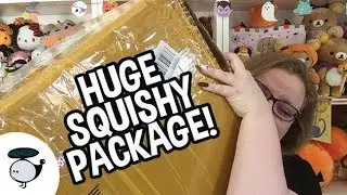 OMG! MASSIVE Puni Maru Squishy Package!!