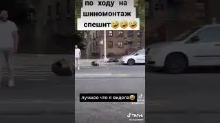 пёсик смешно несёт шину #Shorts