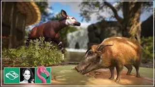 Red River Hog & Okapi Habitat in Franchise Mode