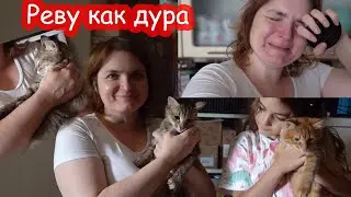 VLOG Мурка нашлась. Я реву как дура