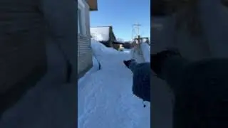 Умный пёс 🐕 выбирает корм SMART DOG 👍💪😻 