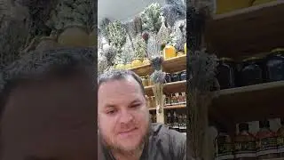 усвоение белка
