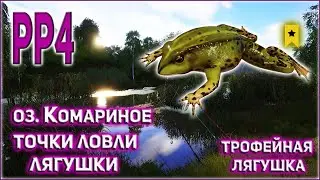 РР4 КОМАРИНОЕ ТРОФЕЙНАЯ ЛЯГУШКА / РР4 КОМАРИНОЕ МЕСТА ЛОВЛИ ЛЯГУШКИ / RF4 MOSQUITO LAKE TROPHY FROG