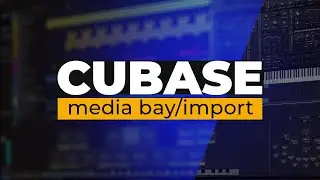 Cubase 13 Pro Tutorial (Lesson 5) – Import Files. Media Bay