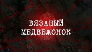 Вязаный медвежонок | Вещдок 2023. Преступления прошлого