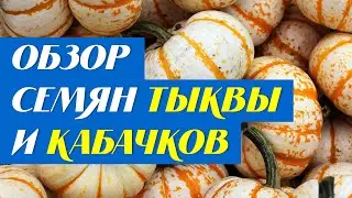 Обзор семян тыквы и кабачков на 2021 год