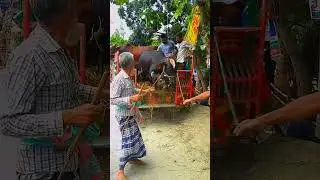 cow dikhaiye short video