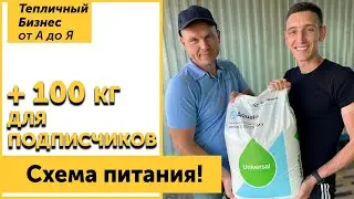 Схема питания клубники. Розыгрыш 100кг удобрений от ЕвроХим!