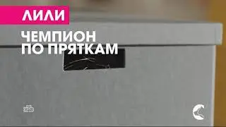 Фрагмент рекламы и заставка (НТВ, 07.01.2020) (3)
