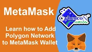 How to Add Polygon Network to MetaMask Wallet