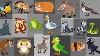 Verso di animale canzone | Imparare i nomi degli animali | Learn Animal Sound | Animal Sound Song