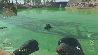 taking a dip in irradiated green water