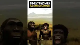 Теория Дарвина провальна!