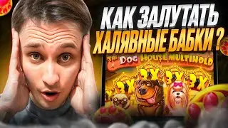 🐶 20к за СПИН - ЛЮТЕЙШИЙ ЗАНОС в DOG HOUSE, СОБАКИ ЗАНОСЯТ | Dog House Megaways | The Dog House