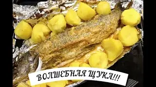 Как вкусно запечь ЩУКУ! Аж слюнки побежали и тиной не пахнет! How delicious to bake a pike!