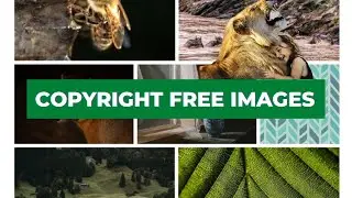 Free Stock Photos Without Copyright